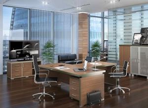 The best options for office design (13 photos)